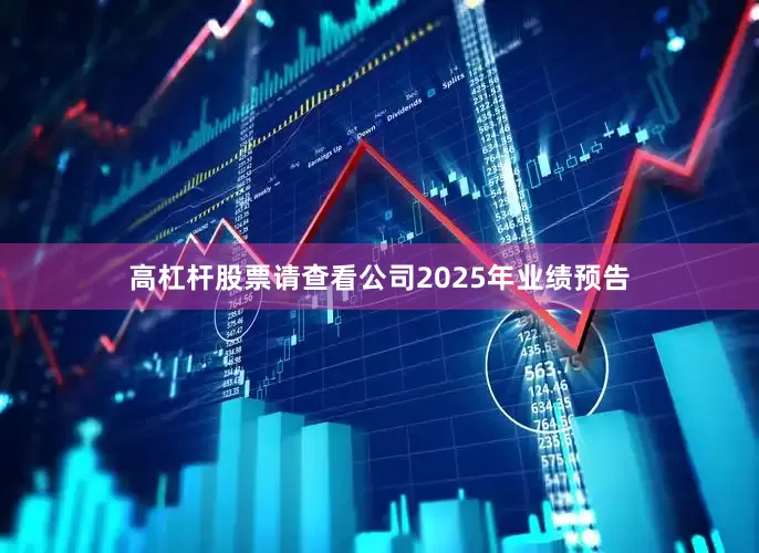 高杠杆股票请查看公司2025年业绩预告